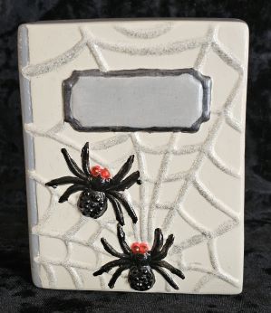 Book - Spider with Web - Silver